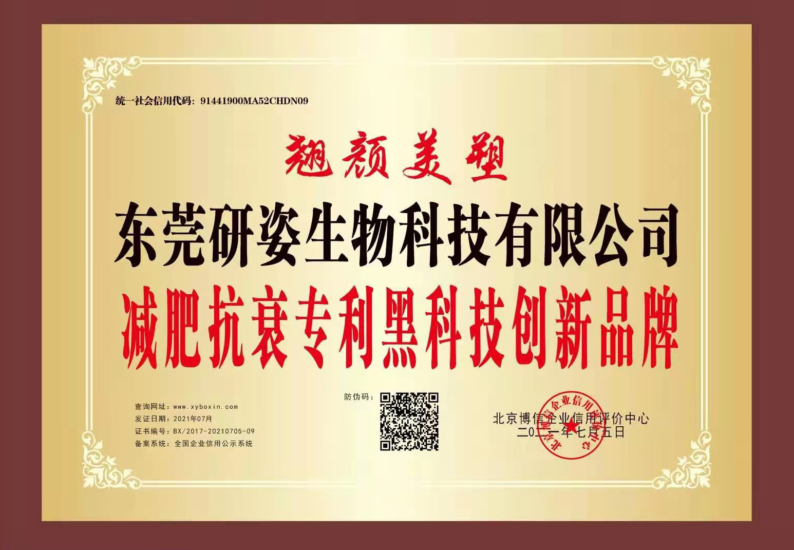 荣誉证书